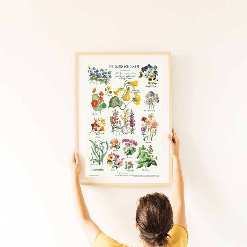 Set of 3 posters by Hanoi Original showing plants that are toxic to cats and dogs, in botanical drawing styles. There are several common plants, and flowers that are poisonous to dogs and cats.This lovely botanical posters are not just a beautiful wall arts, it can be used as a guide to pet owners. 