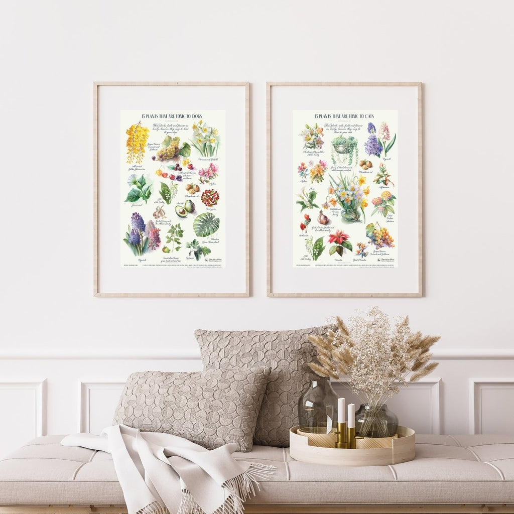 Set of 2 posters showing plants that are toxic to cats and dogs, in botanical drawing styles. There are several common plants, and flowers that are poisonous to dogs and cats.This lovely botanical posters are not just a beautiful wall arts, it can be used as a guide to pet owners. 