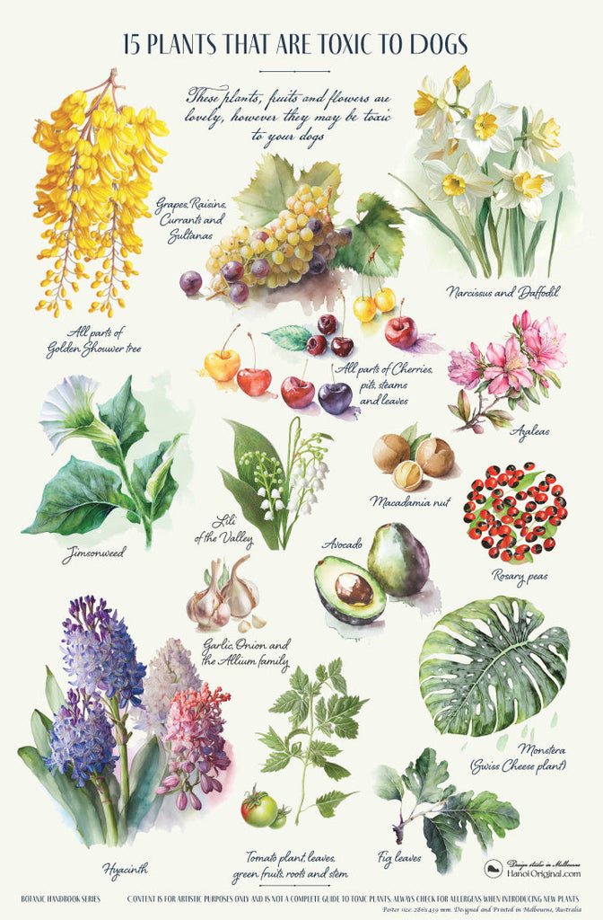 The 15 Toxic Plants to Dog botanical wall art poster