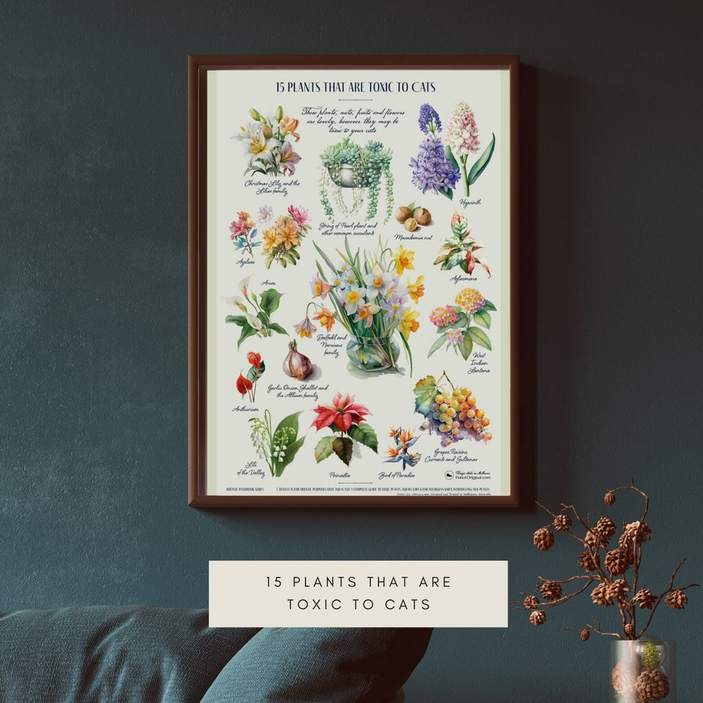 many beautiful Pansies and Violas can be added to salads, but there are many more edible flowers. Wall art poster botanical by Hanoi Original